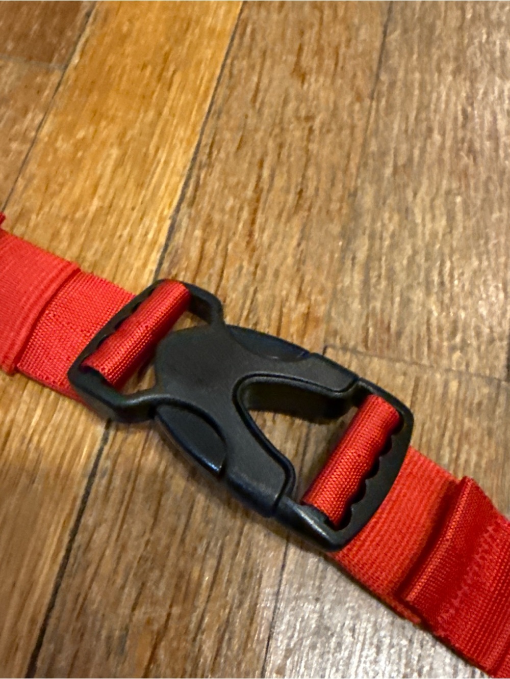 Patagonia Red and Navy Hip Pack - Picture 3 of 6